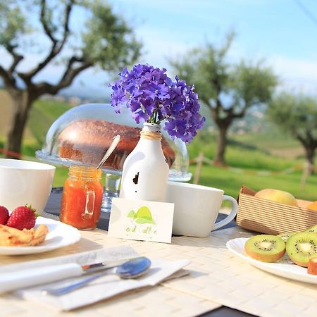 B&B Verdi Colline Controguerra Εξωτερικό φωτογραφία