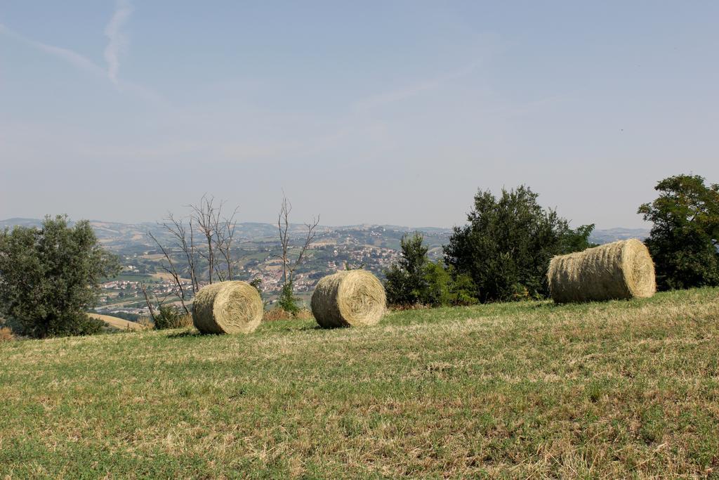 B&B Verdi Colline Controguerra Εξωτερικό φωτογραφία